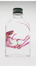 Diaphonized Mouse in Bottle