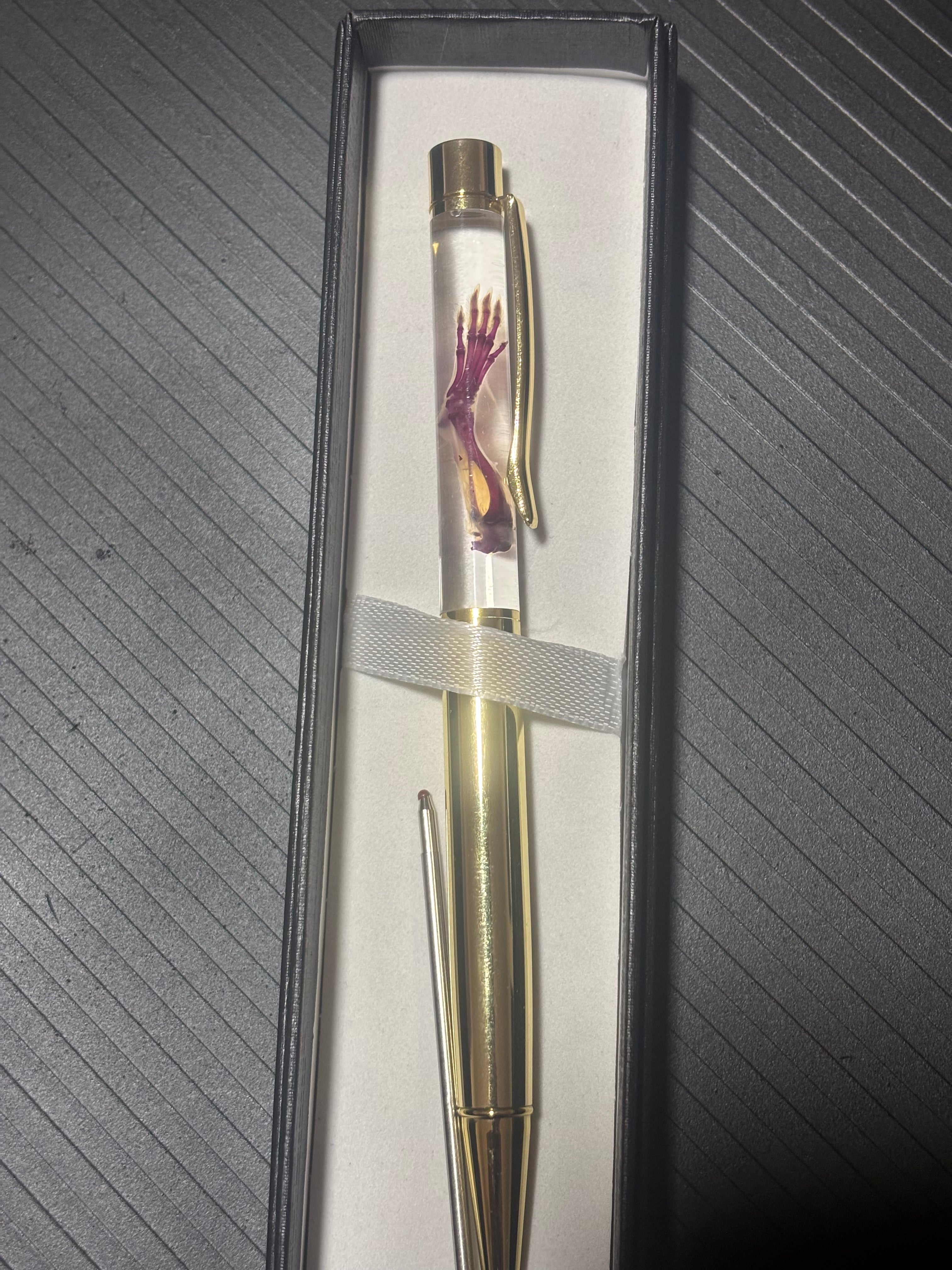 Diaphonized Mouse Paw Pen