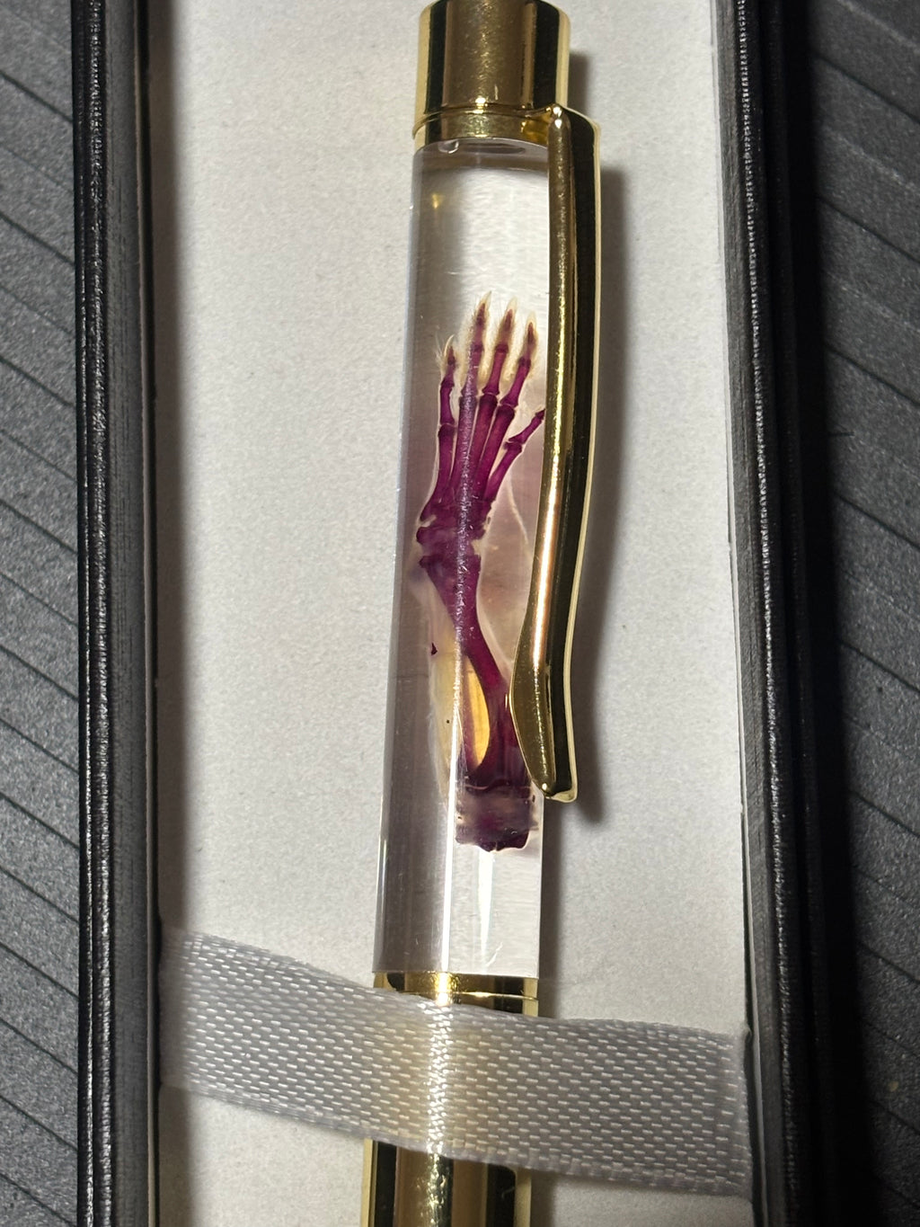 Diaphonized Mouse Paw Pen