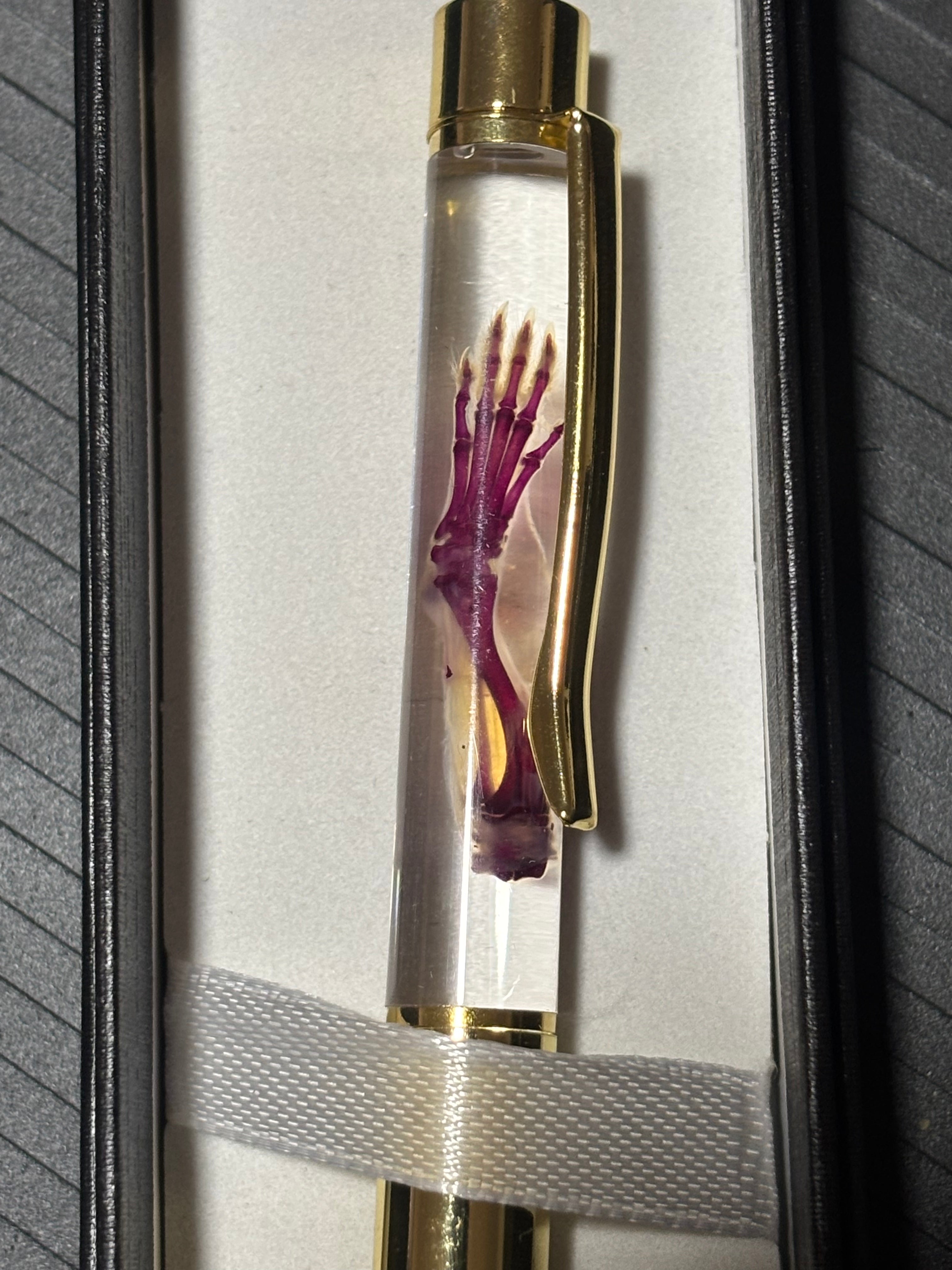 Diaphonized Mouse Paw Pen