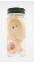 Cuttlefish Wet Specimen with Googly Eyes