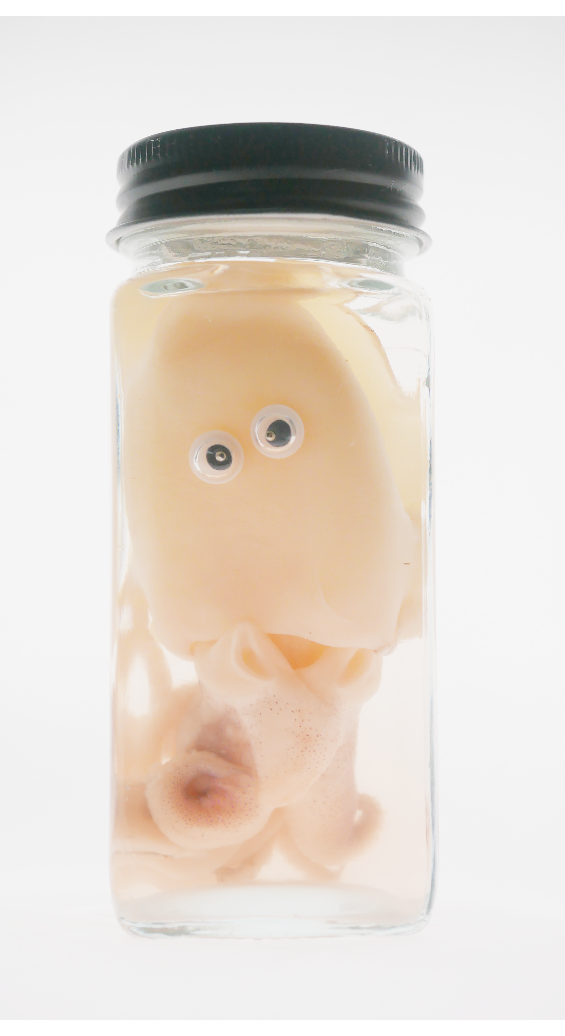 Cuttlefish Wet Specimen with Googly Eyes